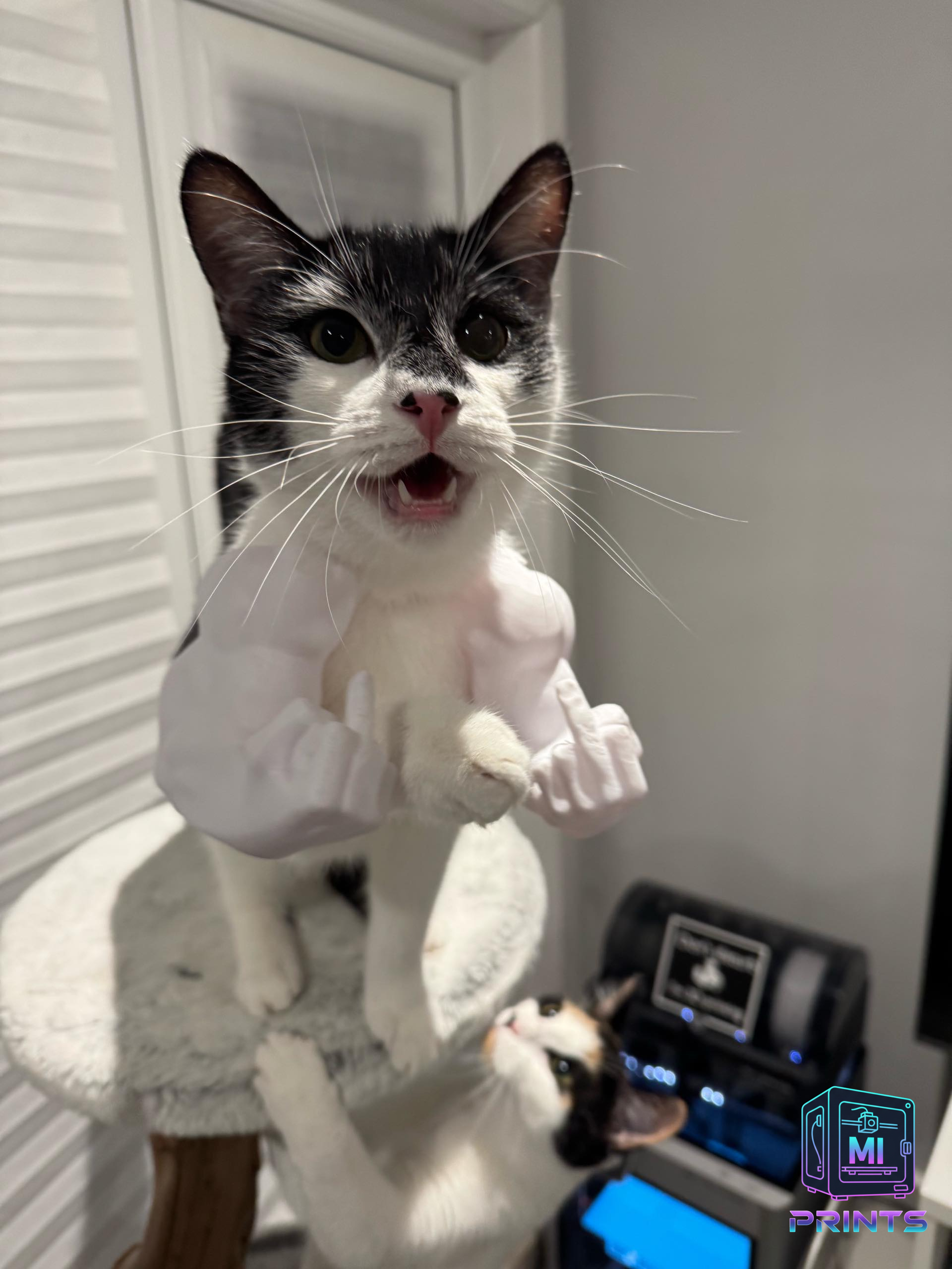 Hulk Arm, Buff Muscle Arms for Cats Hilarious Pet Cosplay Prop [3d Printed] MI PRINTS